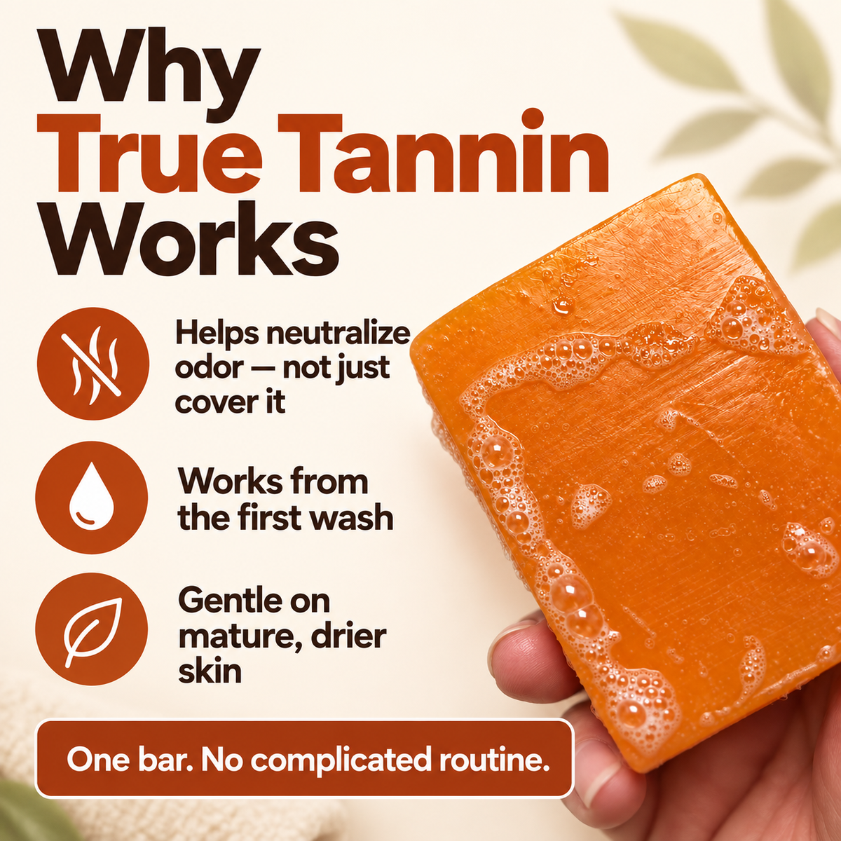 Deodorizing Persimmon Soap